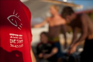 Underwater vision dive shirt o your divemaster at Underwater Vision, Utila and be a part of our team!
