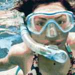 Utila_DiveFest_700x200_r3c6_scubaboard_version[1]
